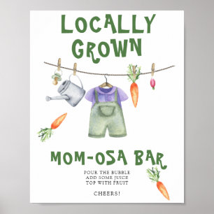 Póster ducha de bebé de cosecha local - Bar Momosa