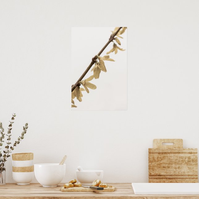 Póster Duchas de primavera en el Poster de las flores de  (Cocina)