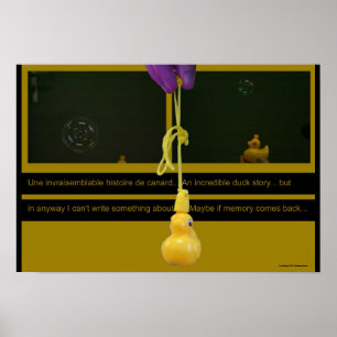 Póster Duck Story ou un Poster del histoire invariable