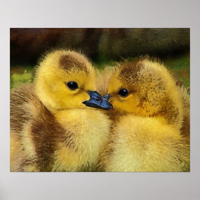Póster Duckling (Frente)