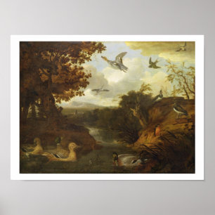Póster Ducks and other birds about a stream in an Italian