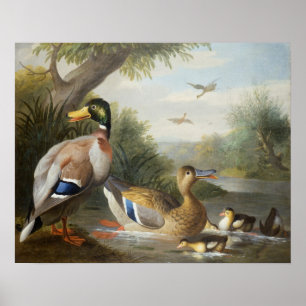 Póster Ducks in a River Landscape