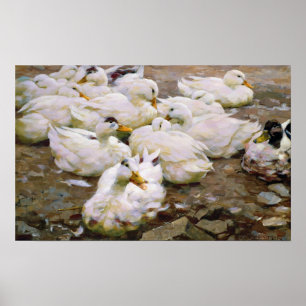 Póster Ducks on a pond