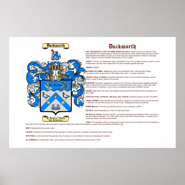 Póster Duckworth (significado) (Frente)