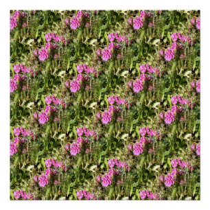 Póster Dulce Carne de Pea.....