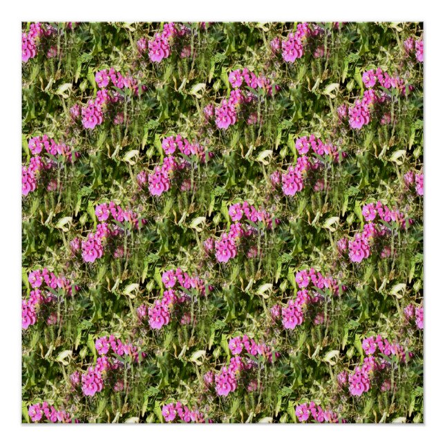 Póster Dulce Carne de Pea..... (Anverso)