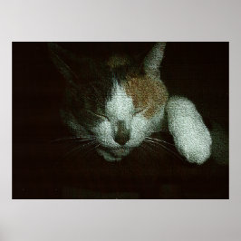 Póster Dulce Durmiendo en un Árbol de Gatos