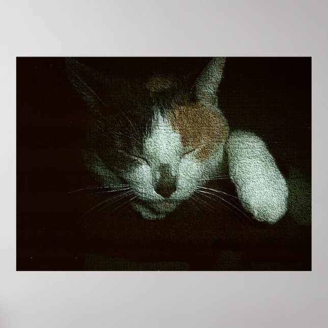 Póster Dulce Durmiendo en un Árbol de Gatos (Frente)