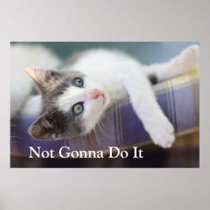 Póster Dulce Gitano En Cama De Hierro