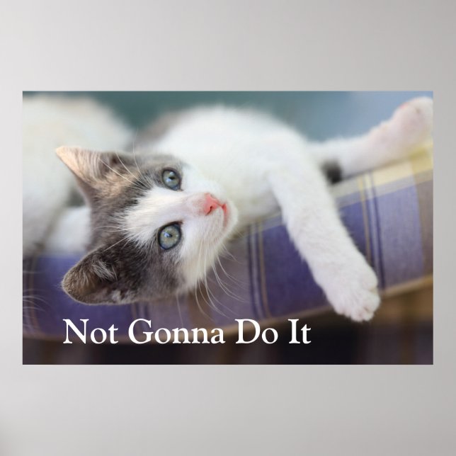 Póster Dulce Gitano En Cama De Hierro (Frente)