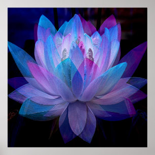 Póster Dulce Lotus......