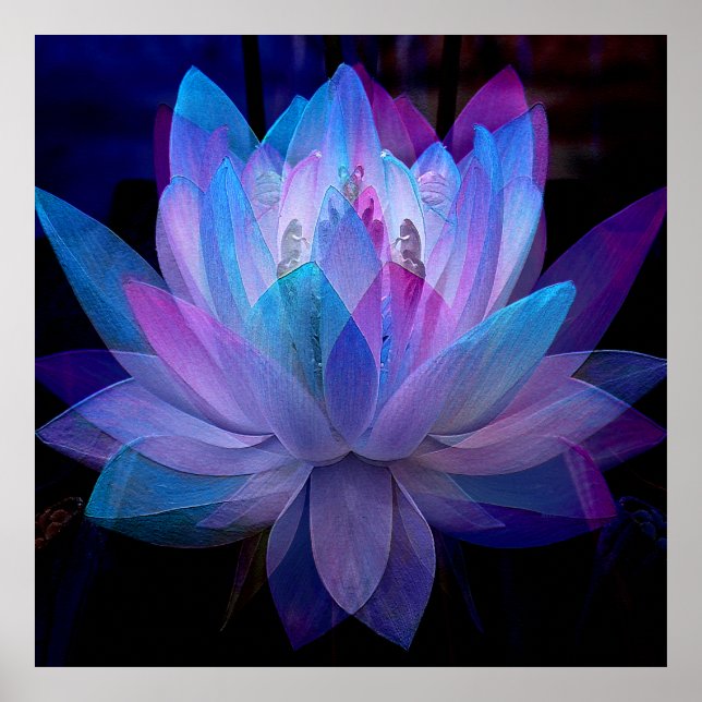 Póster Dulce Lotus...... (Frente)