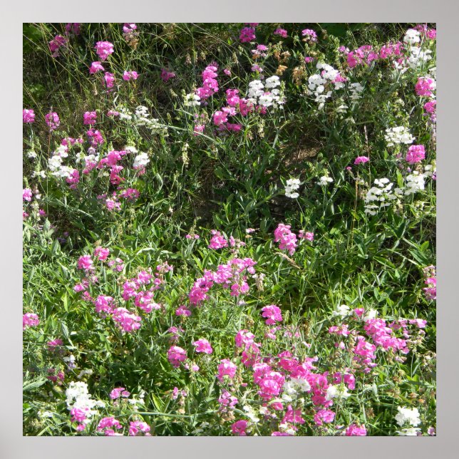 Póster Dulces en primavera... (Frente)