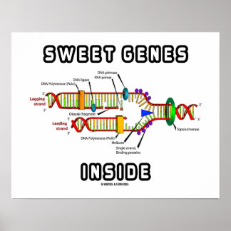 Póster Dulces genes dentro del humor de replicación del A