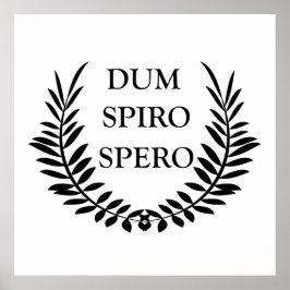 Póster Dum spiro