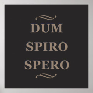 Póster Dum spiro spero