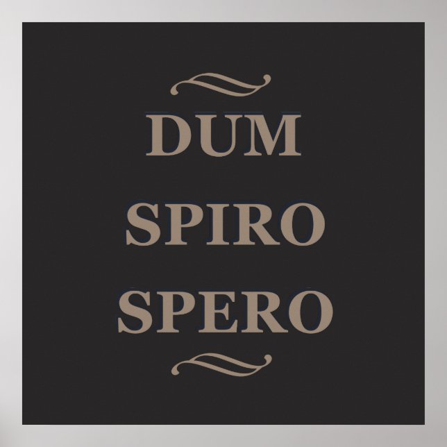 Póster Dum spiro spero (Frente)