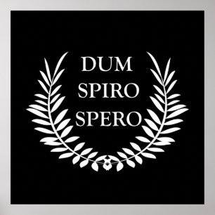 Póster dum spiro spero