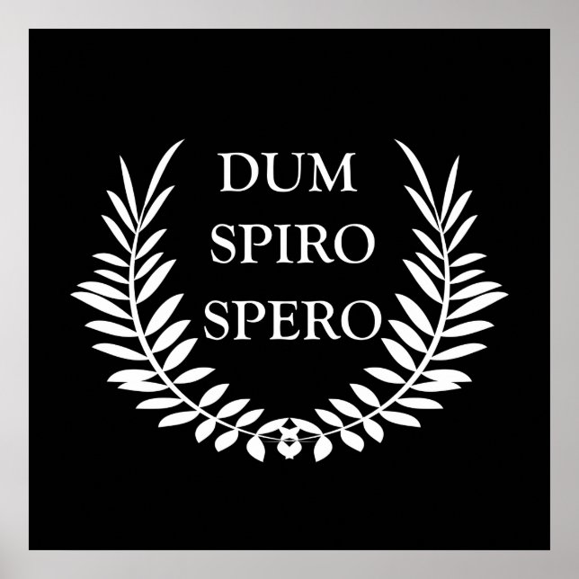 Póster dum spiro spero (Frente)