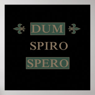 Póster dum spiro spero
