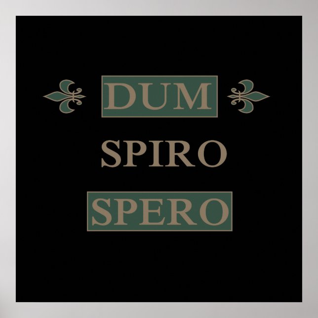 Póster dum spiro spero (Frente)