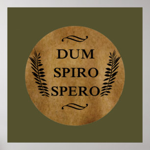 Póster Dum spiro spero