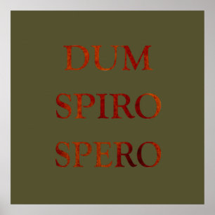 Póster dum spiro spero