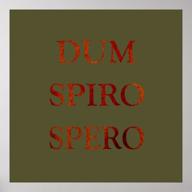 Póster dum spiro spero (Frente)