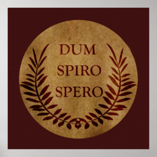 Póster dum spiro spero, frase en latín