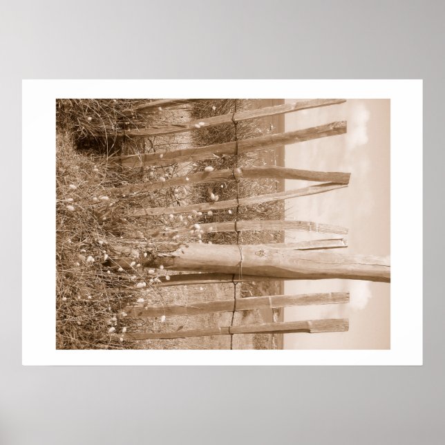 Póster dunas (Frente)