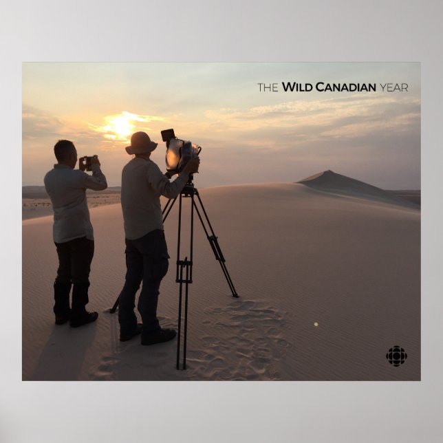 Póster Dunas de arena de Athabasca (Frente)