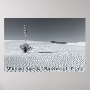 Póster Dunas de arena del desierto en blanco y negro con