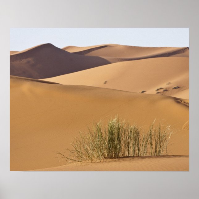 Póster Dunas de arena, desierto del Sahara, Marruecos (Frente)