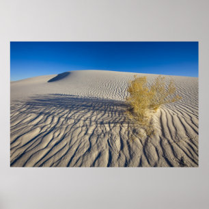 Póster Dunas de arena en el Monumento Nacional White Sand