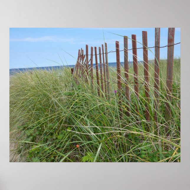 Póster Dunas de Cape Cod (Frente)