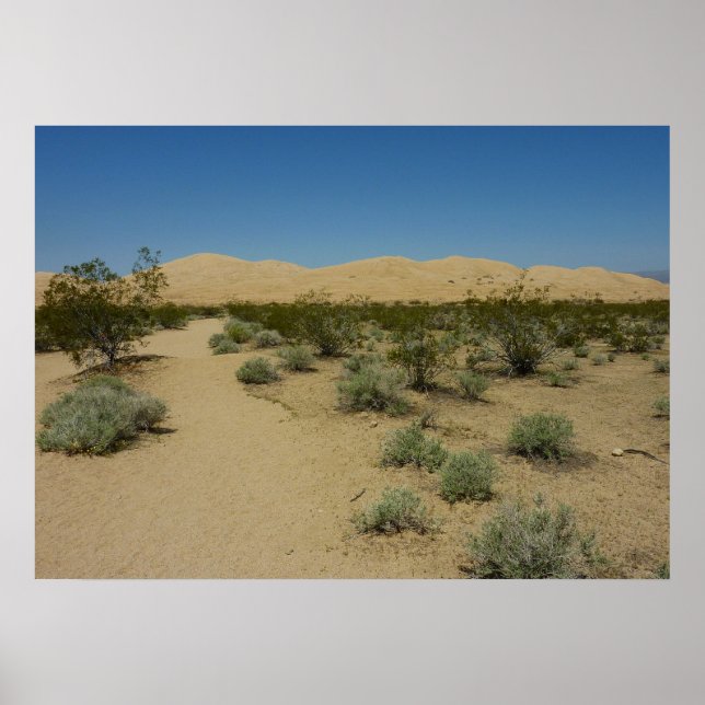 Póster Dunas de Kelso en el Parque Nacional Mojave (Frente)