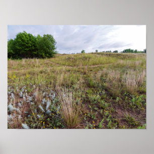 Póster dunas de nubes grises paisaje de pradera