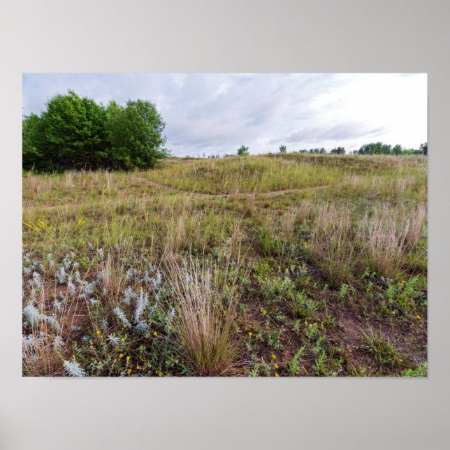 Póster dunas de nubes grises paisaje de pradera (Frente)