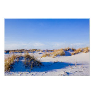 Póster Dunas de playa de Wrightsville