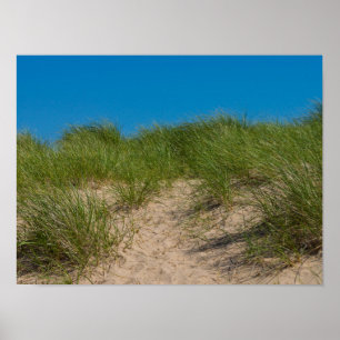 Póster Dunas Y Oats