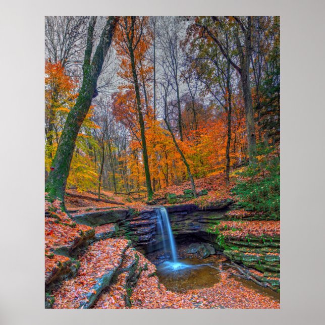 Póster Dundee Falls en otoño, Ohio (Frente)