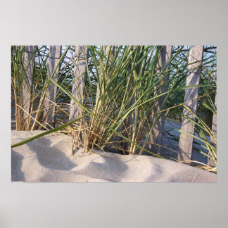 Póster Dune Grass
