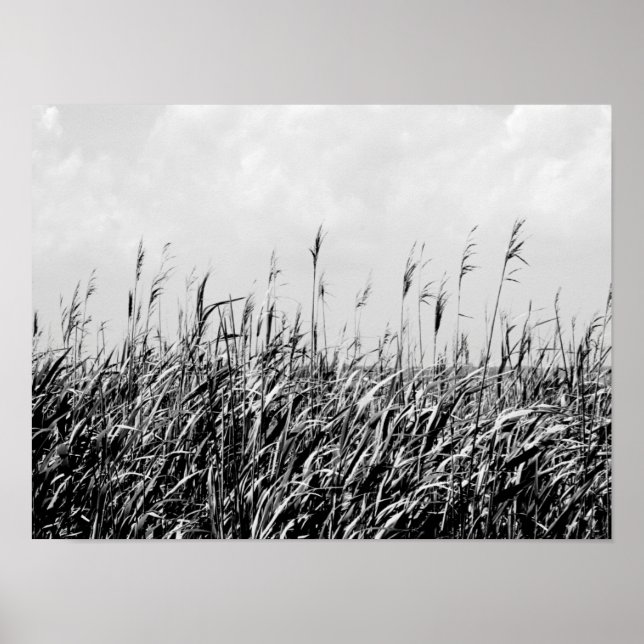 Póster Dune Triptych III (Frente)