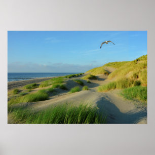 Póster Dünen an der Nordsee