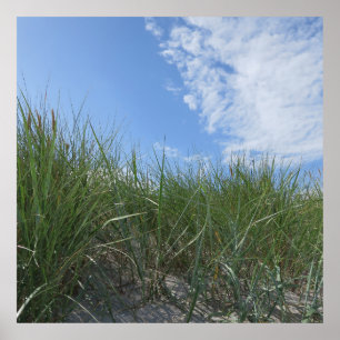 Póster dunes,sand poster