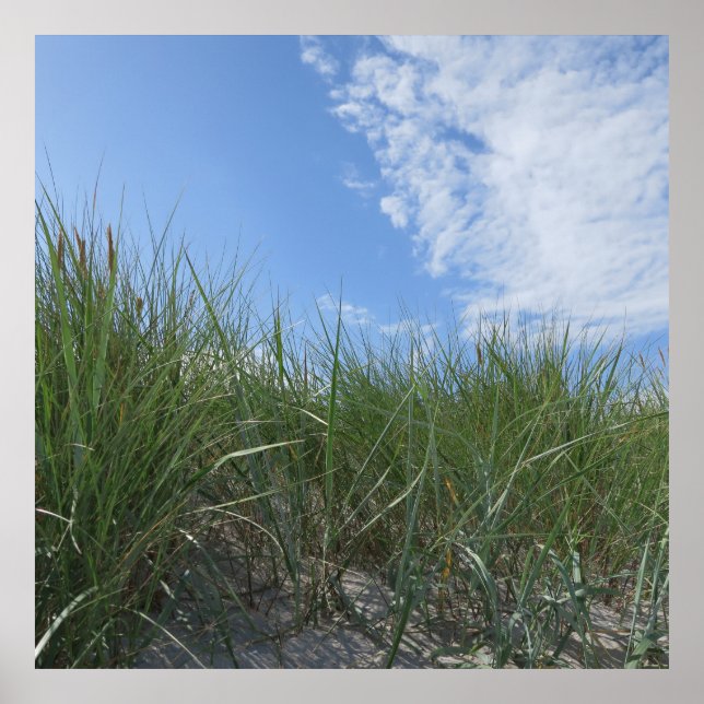 Póster dunes,sand poster (Frente)