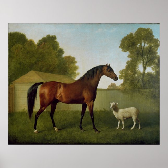 Póster Dungannon, propiedad del Coronel O'Kelly (Frente)