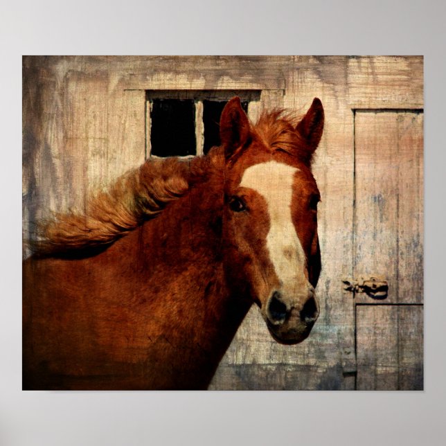 Póster Dunnit (Frente)