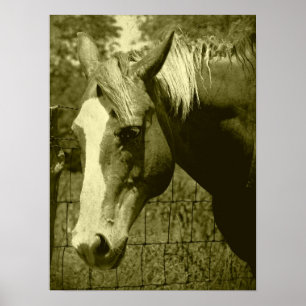 Póster Dunnit en Sepia Tint