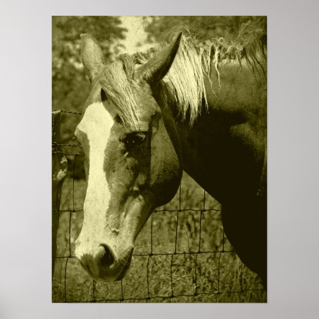 Póster Dunnit en Sepia Tint (Frente)